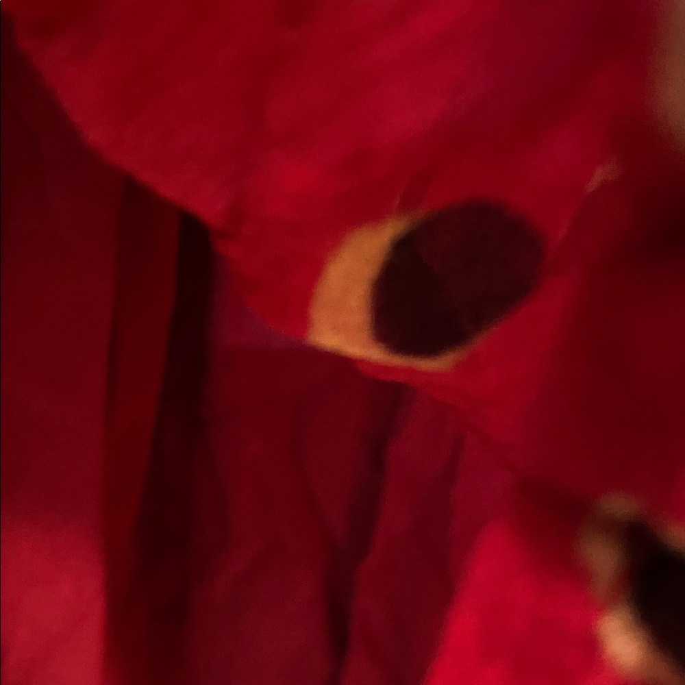 Red Patterned Dress - Picture 6 of 8